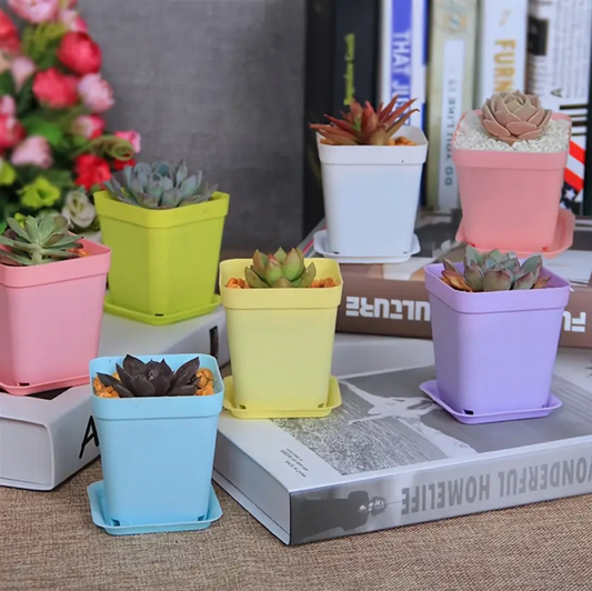 Colorful Planters w/ Base